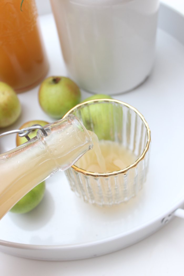 Wie ihr haltbaren Apfelsaft selbst machen könnt