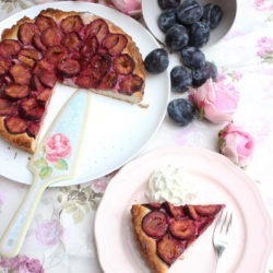 IMG Zwetschgenkuchen mit Quark Oel Teig 5
