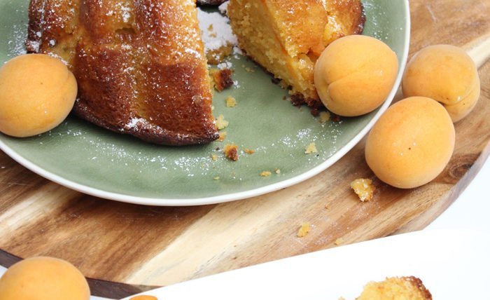 MG Aprikosen Joghurt Kuchen Gugelhupf 5