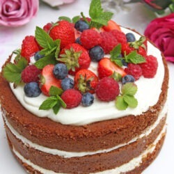 MG Midsommar Torte Schwedische Erdbeertorte 01
