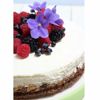 Food 237