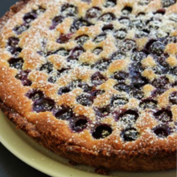 Food 206