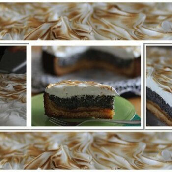 Food 240