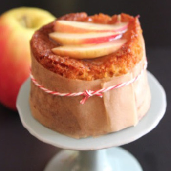 Food 102
